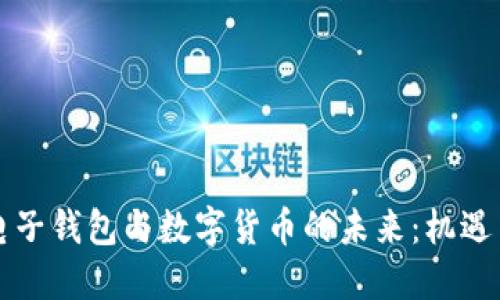 南京电子钱包与数字货币的未来:机遇与挑战