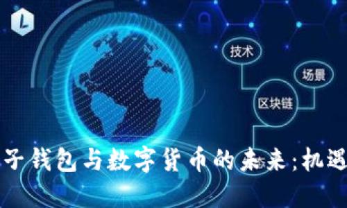 南京电子钱包与数字货币的未来:机遇与挑战