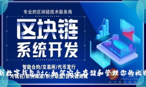 深入解析数字钱包Btc:如何安全存储和管理你的比特币资产