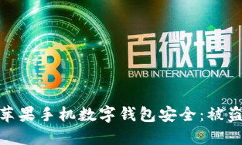 如何保护你的苹果手机数字钱包安全:被盗后的应对措施