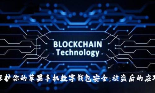 如何保护你的苹果手机数字钱包安全:被盗后的应对措施