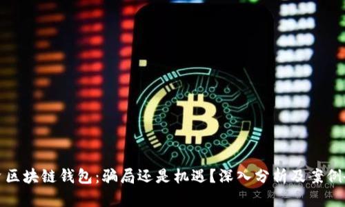 投资区块链钱包：骗局还是机遇？深入分析及案例研究