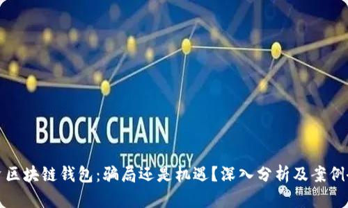投资区块链钱包：骗局还是机遇？深入分析及案例研究