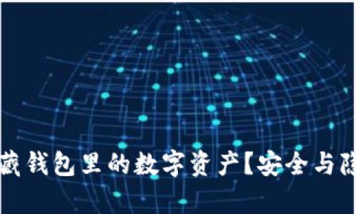 如何有效隐藏钱包里的数字资产？安全与隐私保护指南