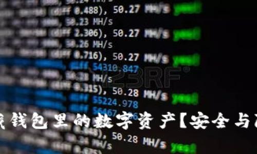 如何有效隐藏钱包里的数字资产？安全与隐私保护指南
