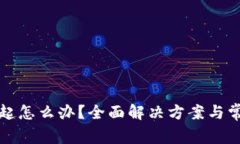 数字钱包挂起怎么办？全面解决方案与常见问题