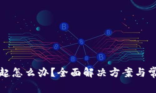 数字钱包挂起怎么办？全面解决方案与常见问题解析