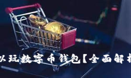 哪里可以玩数字币钱包?全面解析与推荐