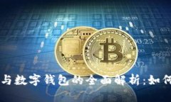 区块链域名与数字钱包的全面解析：如何选择与