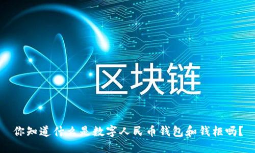 你知道什么是数字人民币钱包和钱柜吗?