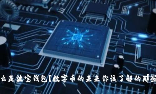 什么是波宝钱包?数字币的未来你该了解的那些事