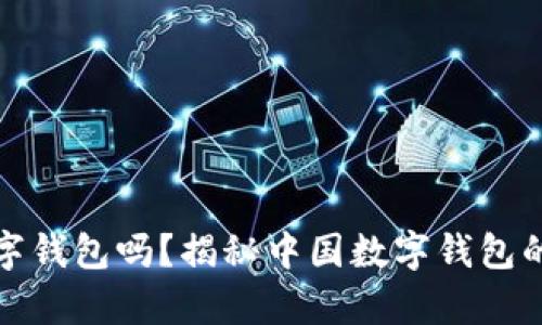 你知道WB数字钱包吗？揭秘中国数字钱包的前景与应用！