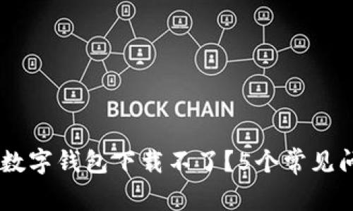为什么我的TB数字钱包下载不了？5个常见问题和解决方法