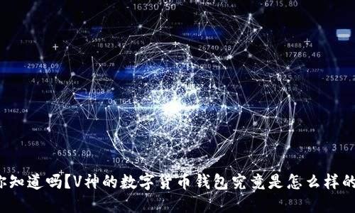 你知道吗?V神的数字货币钱包究竟是怎么样的?