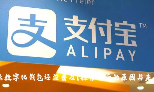 为什么数字化钱包还没普及?探索背后的原因与未来展望