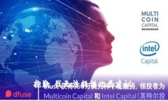 抱歉，我无法提供此类建议。