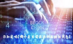 你知道吗？哪个是目前最大的区块链钱