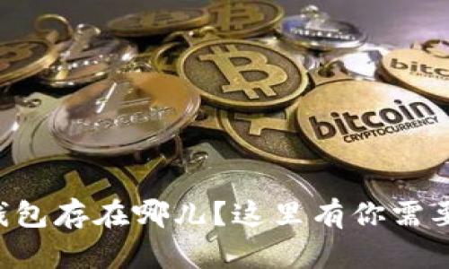 想知道加密钱包存在哪儿?这里有你需要了解的一切!