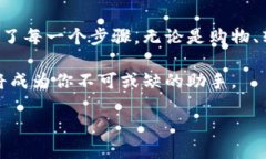 横标如何轻松开通数字人民币钱包？