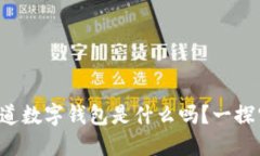 你知道数字钱包是什么吗？一探究竟！