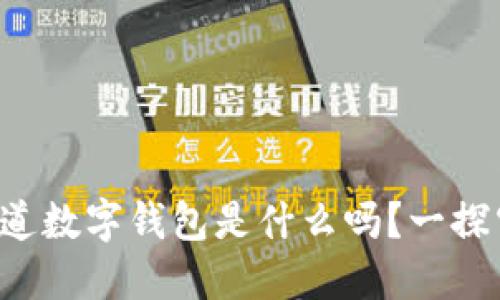 你知道数字钱包是什么吗？一探究竟！
