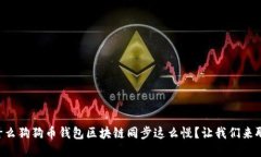 为什么狗狗币钱包区块链同步这么慢？