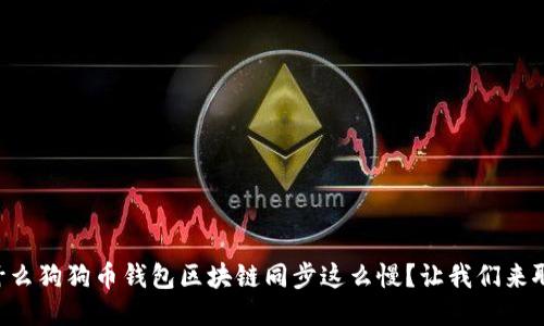 为什么狗狗币钱包区块链同步这么慢？让我们来聊聊！
