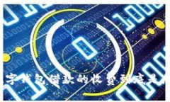 你知道数字钱包借款的收费到底是怎样的吗？