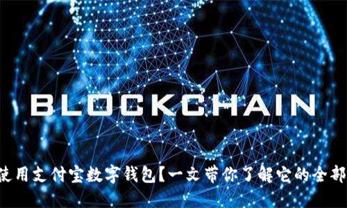如何使用支付宝数字钱包?一文带你了解它的全部功能!