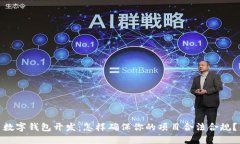 数字钱包开发：怎样确保你的项目合法