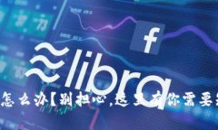 TP钱包搜不到币怎么办？别担心，这里