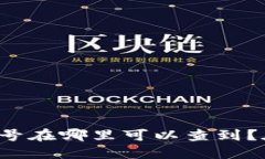 数字钱包的编号在哪里可以查到？在这