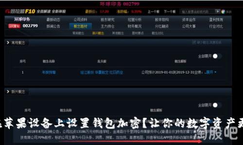如何在苹果设备上设置钱包加密？让你的数字资产更安全！