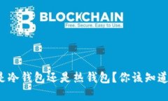 TP钱包是冷钱包还是热钱包？你该知道