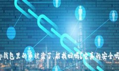 tp钱包里的币被盗了，能找回吗？它真