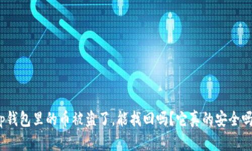tp钱包里的币被盗了,能找回吗?它真的安全吗?
