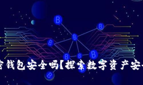 模拟加密钱包安全吗?探索数字资产安全的真相!