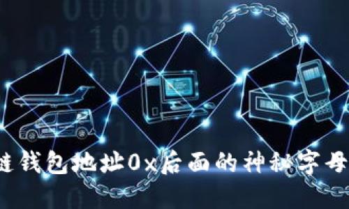 你知道区块链钱包地址0x后面的神秘字母代表什么吗?