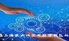 如何在上海最大化使用数字钱包的优惠