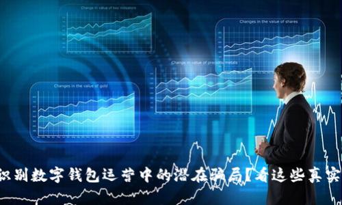 如何识别数字钱包运营中的潜在骗局?看这些真实案例!