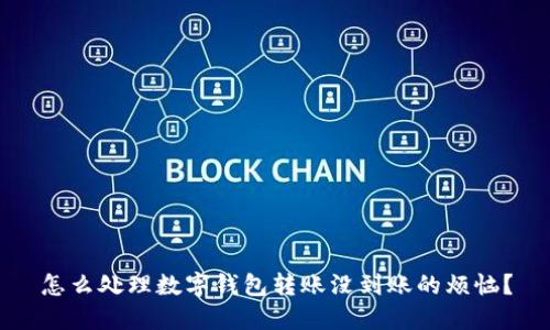 怎么处理数字钱包转账没到账的烦恼？