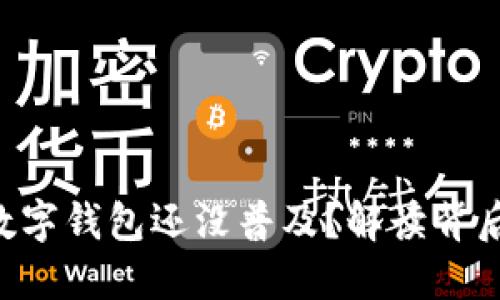 为什么你的数字钱包还没普及?解读背后的滞后原因!