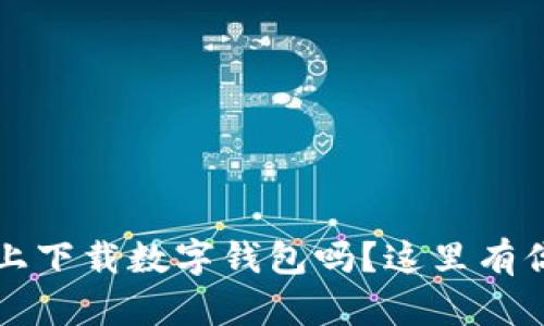 想知道如何在iOS上下载数字钱包吗？这里有你需要的全部步骤！