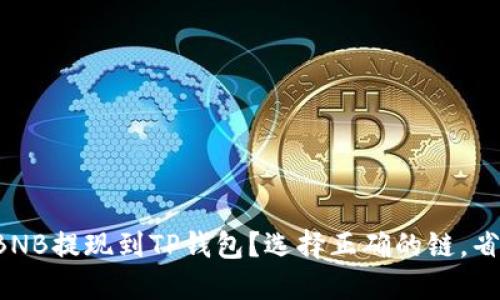 如何将BNB提现到TP钱包?选择正确的链,省时省心!