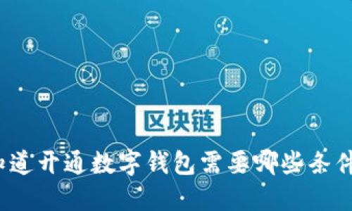 你知道开通数字钱包需要哪些条件吗?