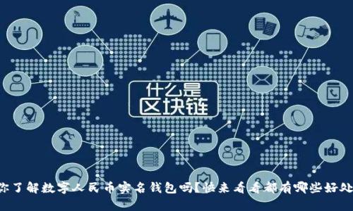 你了解数字人民币实名钱包吗?快来看看都有哪些好处!