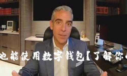 没NFC也能使用数字钱包？了解你的选择！