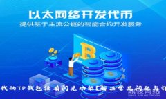 为什么我的TP钱包没有闪兑功能？解决常见问题与