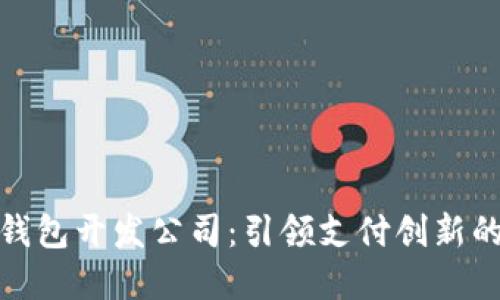 深圳数字钱包开发公司：引领支付创新的未来科技