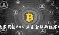 央行数字钱包BAC：未来金融的数字化转型